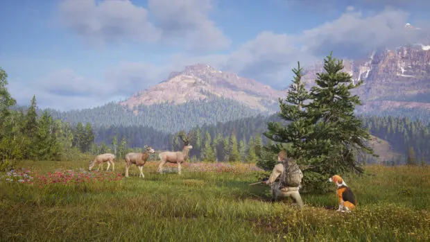 Way of the Hunter 2 w wersji 1.0. Cena, regiony i wymagania symulatora myśliwego