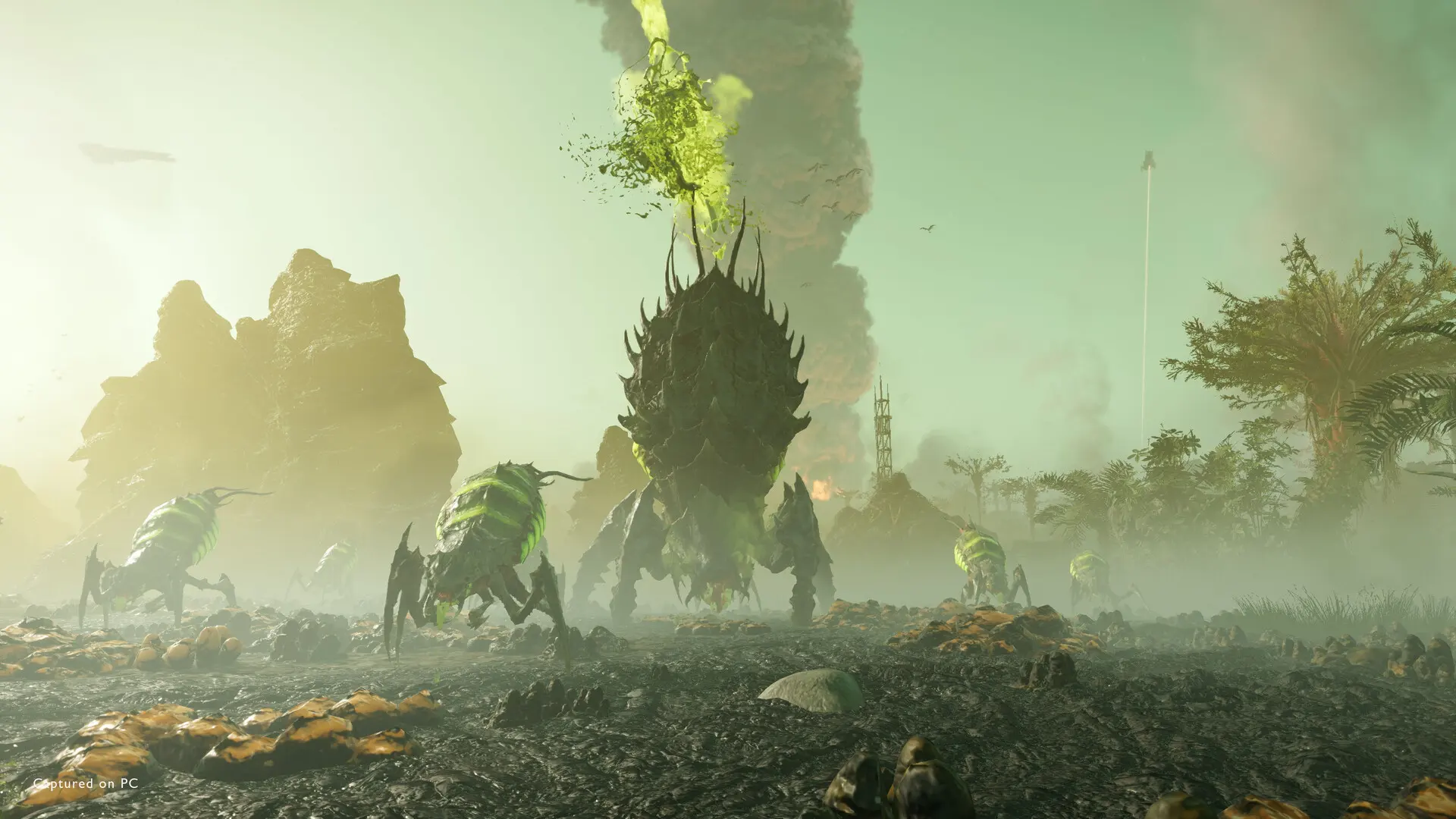 Helldivers 2: ogromny owad na bagiennej planecie