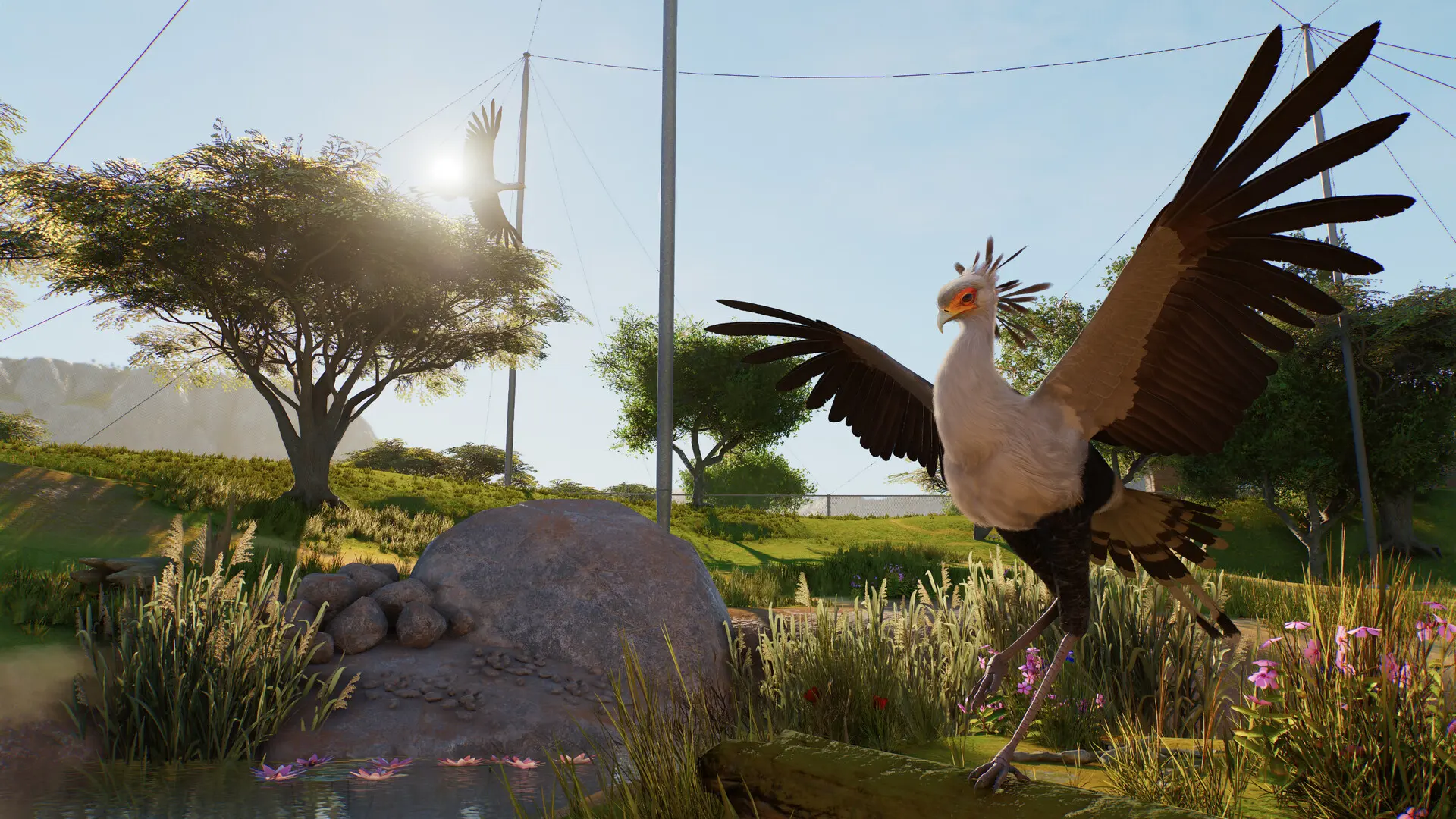 Planet Zoo 2, kolejne ujęcie z zoo